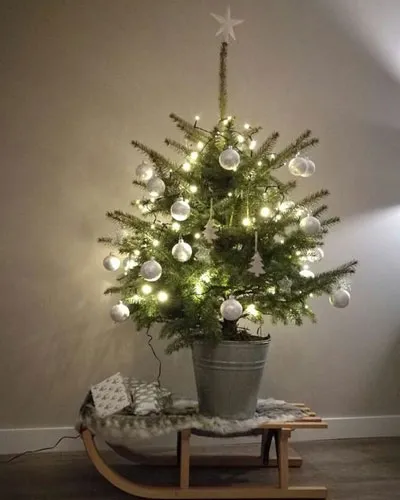 Steel Bucket Christmas tree