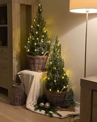 Cane Basket Christmas Trees